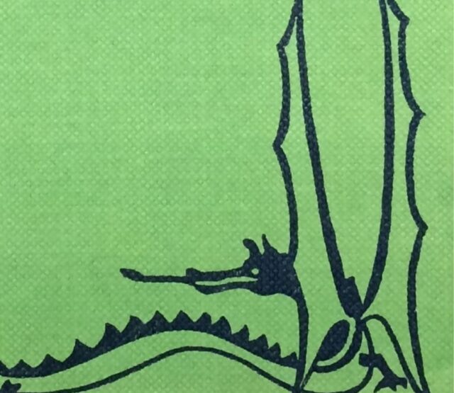 Stylized black dragon on a green binding.