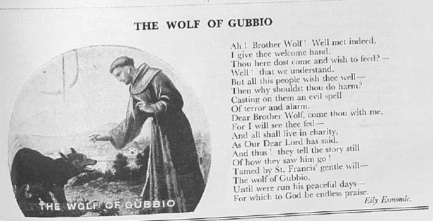 A poem 'The Wolf of Gubbio' by Eily Esmonde which is to the right of an image of St Francis of Assisi with a wolf. 