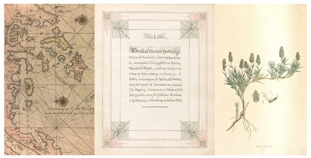 On the left is a map of the coastline of Baltimore Bay showing Sherkin and Cape Clear islands. In the middle is the stylised framed title page of a late 19th century Irish language manuscript. On the right is a sprig of Festuca littoralis.