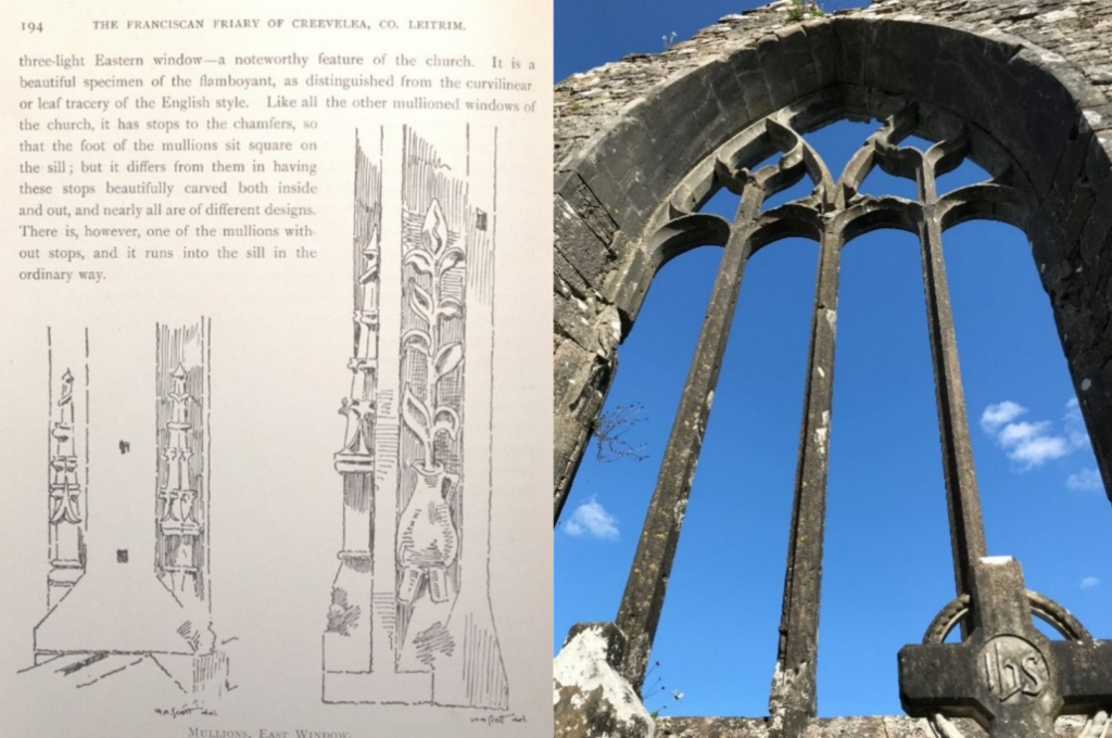 On the left is a drawing of a carving of a lily on Creevelea Franciscan friary, east window. On the right is a photograph of the carving on Creevelea Franciscan friary east window.
