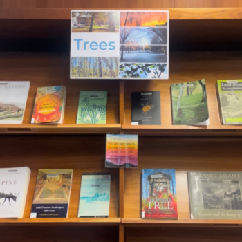 A poster of trees over books on bookshelves with their covers facing outwards.