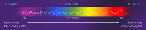Diagram of the full spectrum of wavelengths, from shorter frequencies (UV light, left) to longer (IR light, right) with the different colours to indicate same with purples on the left through to reds on the right. 